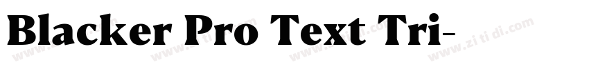 Blacker Pro Text Tri字体转换 Blacker Pro Text Tri字体转换